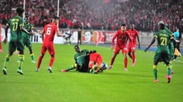 مدرب شباب بلوزداد يوضح آخر استعدادات الفريق لمواجهة الزمالك