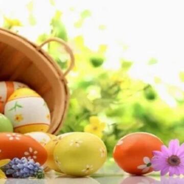 موعد إجازة شم النسيم 2026 بعد قرار وزارة العمل.. عطلة مأجورة للقطاع العام والخاص