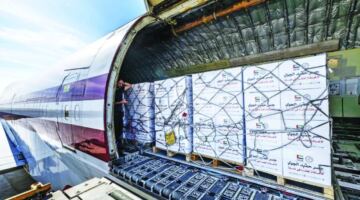 وصول طائرة مساعدات إلى العريش مُحمّلة بـ 100 طن