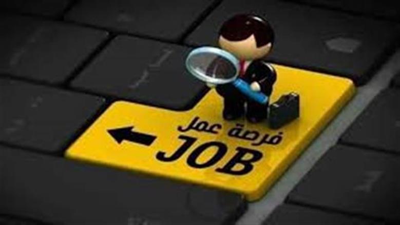 وظائف متاحة في 3 وزارات تناسب خريجي عدة تخصصات.. الشروط وطريقة التقديم