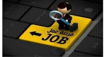 500 وظيفة من وزارة العمل بمرتب شهري 8600 جنيه.. الشروط وطريقة التقديم