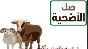 كيفية تقسيط صكوك الأضاحي من وزارة الأوقاف.. اعرف آخر موعد
