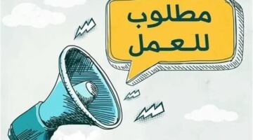 وظائف لا تتطلب الخبرة أو المؤهل العالي.. اعرف الشروط وكيفية التقديم